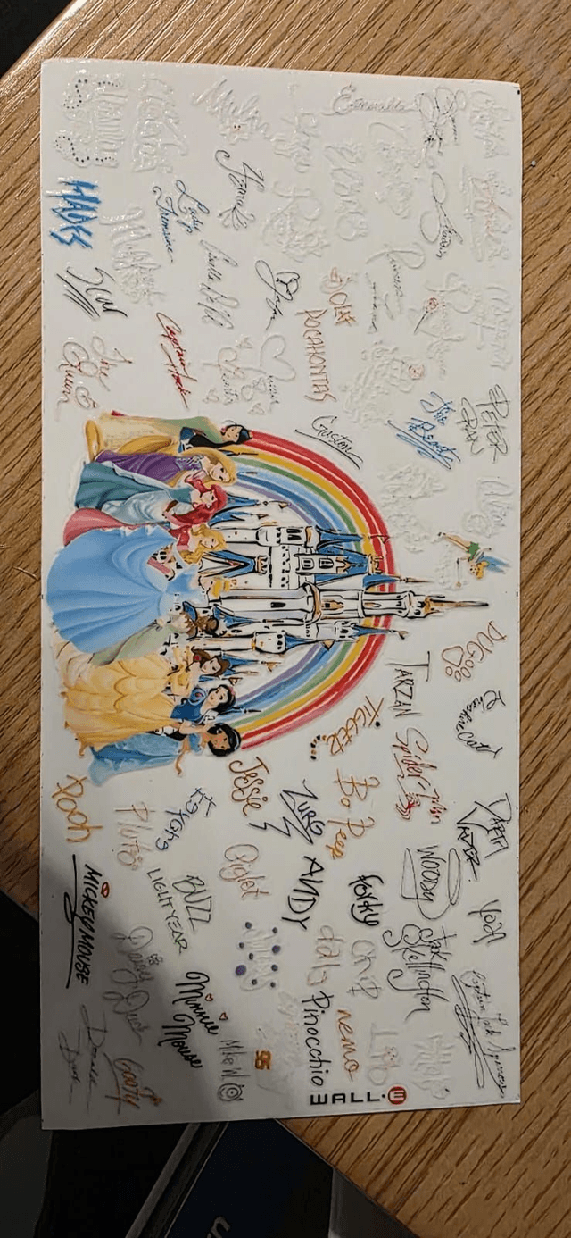 Disney Princess