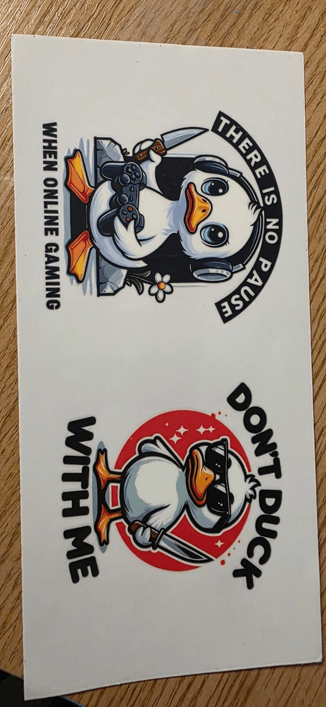 Gaming Duck