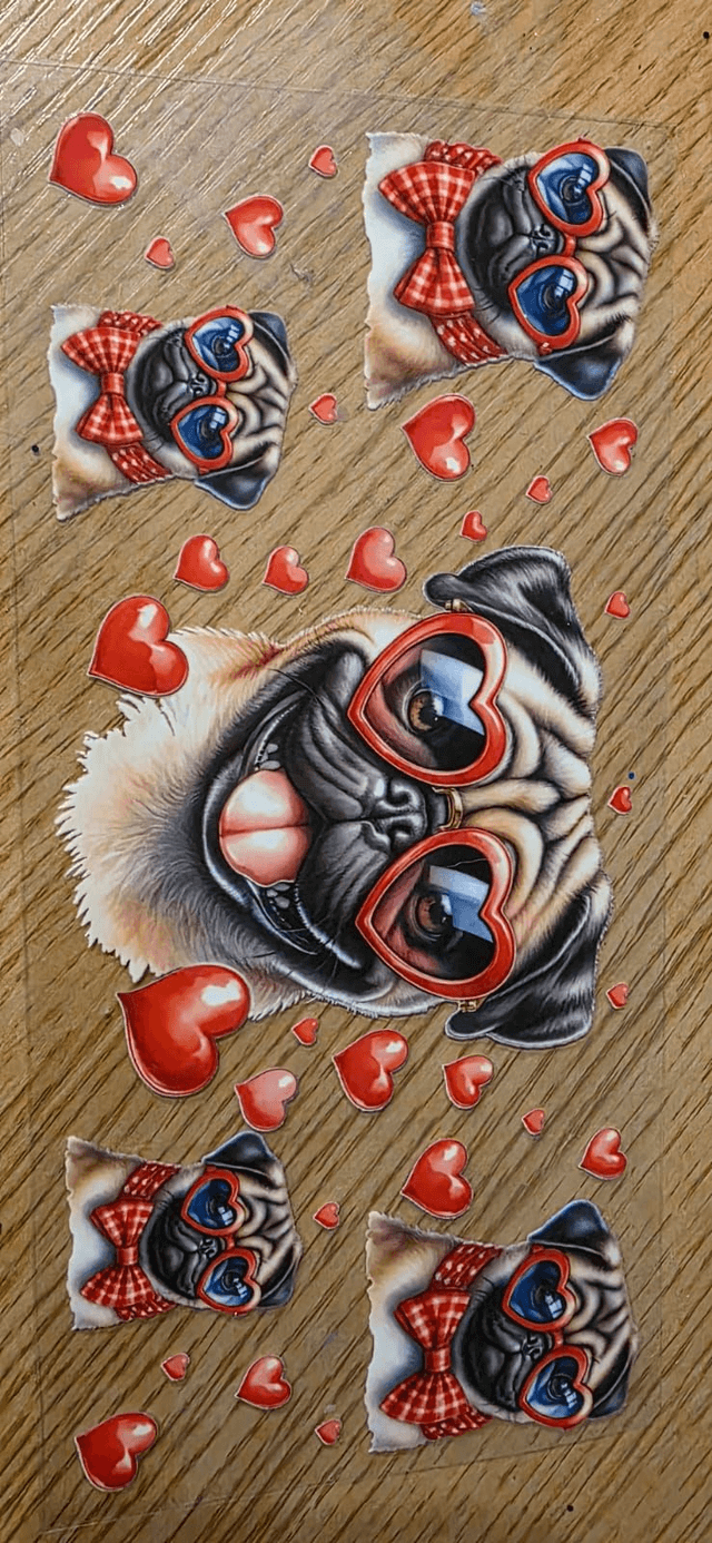 Pug